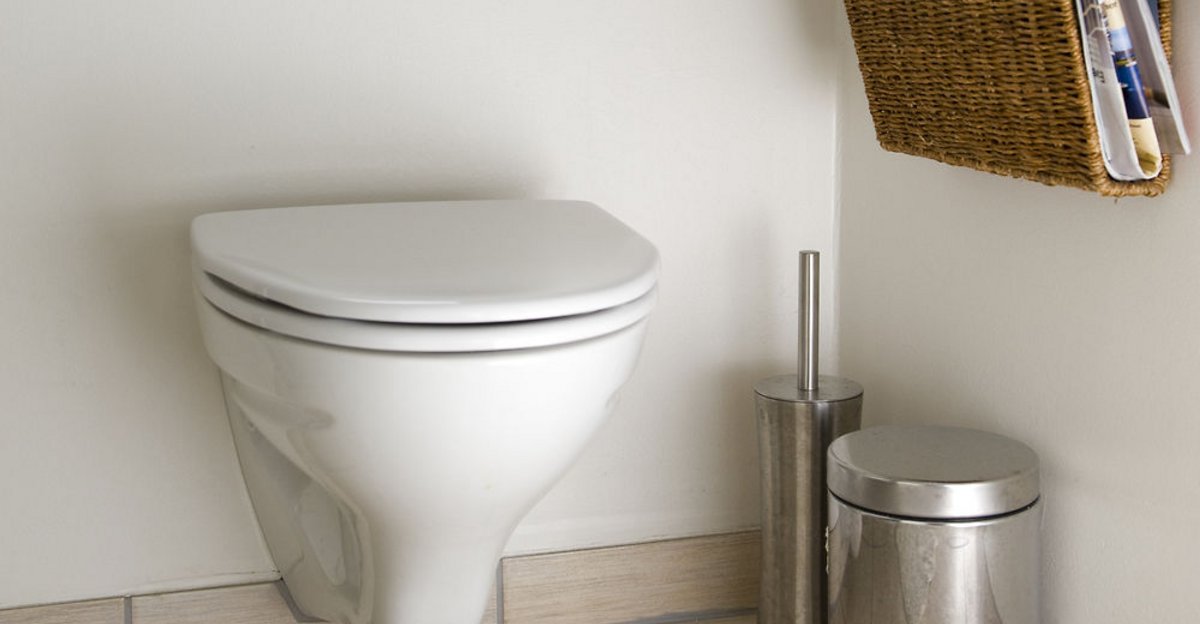 opdagelse svimmel Labe Vælg det bedste toilet til boligen - Se guiden her - Bolius